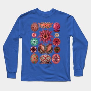 Ernst Haeckel Ascidiae Sea Squirts Red Hues Long Sleeve T-Shirt